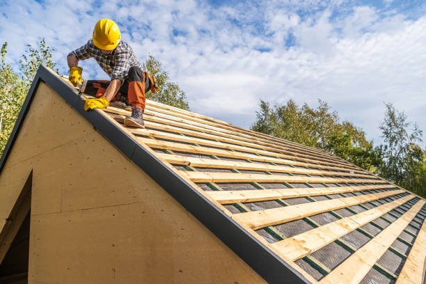 Roof Gutter Cleaning in Oxford, GA